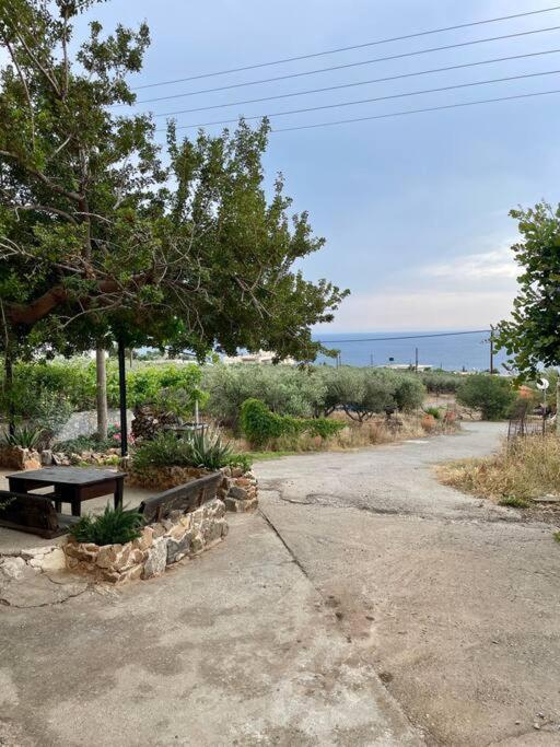 Almond Home Livadia (Crete) Exterior foto
